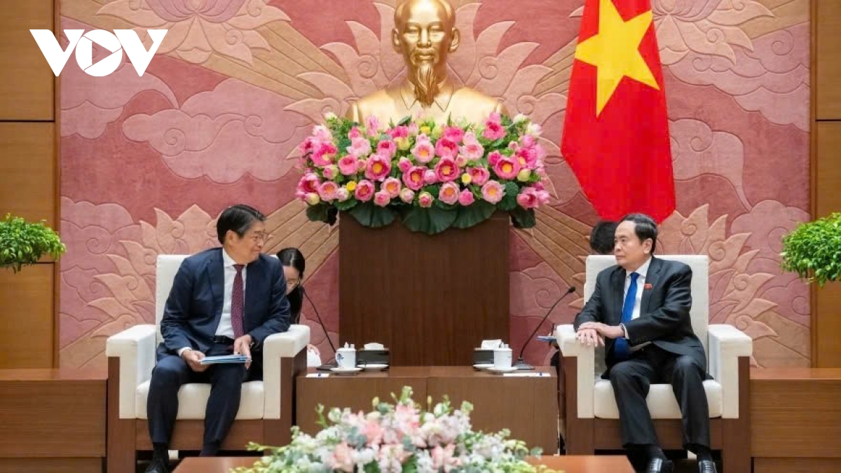 Vietnam desires to realise new partnership framework with Japan